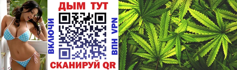 Шишки марихуана VHQ  Правдинск 